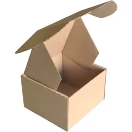 Shipping Box - Tall Square Kraft Open